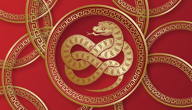 Elemente zodiac chinezesc