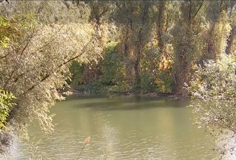 Locul prin care bărbatul a traversat Dunărea