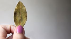 foaie de dafin, degete