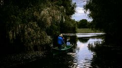 Top 5 activități pentru iubitorii de natură