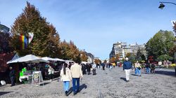 Cine se bucură de o zi liberă pe 14 octombrie 2024? Decizie de ultim moment!