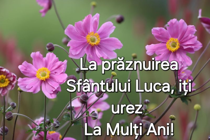 Felicitare de ziua onomastică pentru Luca
