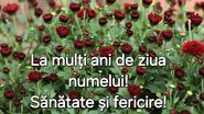 Felicitare de ziua onomastică pentru Luca