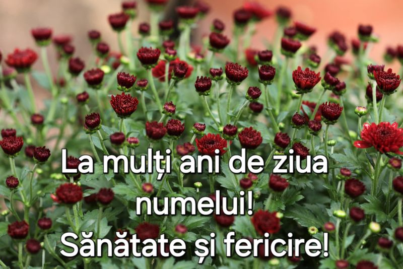 Felicitare de ziua onomastică pentru Luca