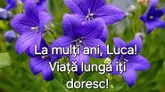 Felicitare de ziua onomastică pentru Luca