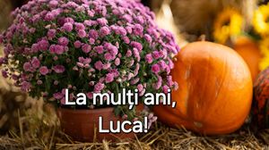 Felicitare de ziua onomastică pentru Luca