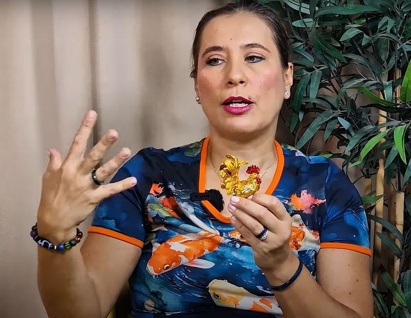 anca dimancea cocosul auriu