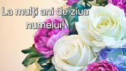 Felicitare de Sfântul Dumitru
