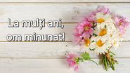Felicitare de Sfântul Dumitru