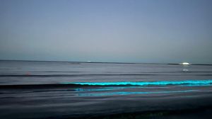 Fenomen spectaculos la Marea Neagră