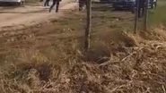 Momentul în care oile le sunt luate de pe proprietate