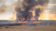Incendiu de proporții în Delta Neajlovului