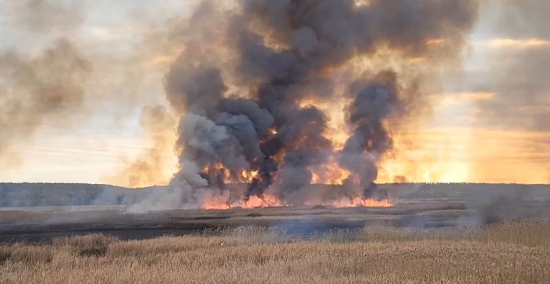 Incendiu de proporții în Delta Neajlovului Incendiu de proporții în Delta Neajlovului