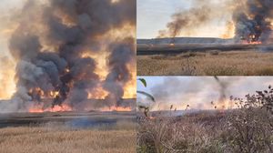 Incendiu de proporții în Delta Neajlovului