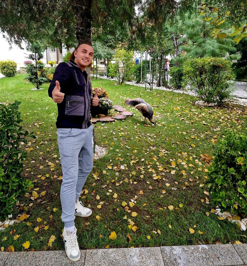 mihai traistariu vacanta