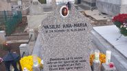 Mormântul Anei-Maria Vasiliu