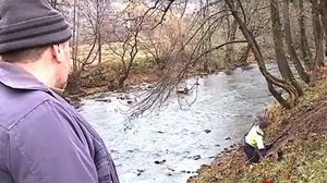 accident Mureș
