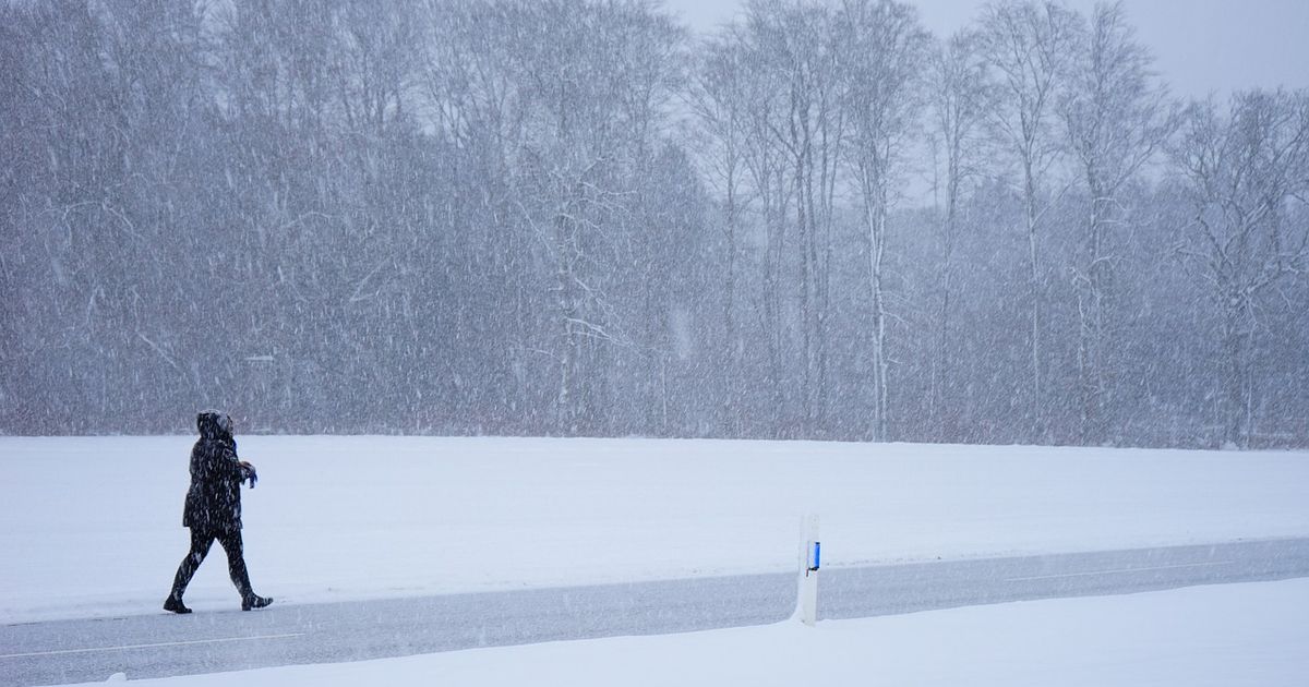 Supercelula polară lovește România: ger puternic, ninsori abundente și strat de zăpadă de peste 50 cm