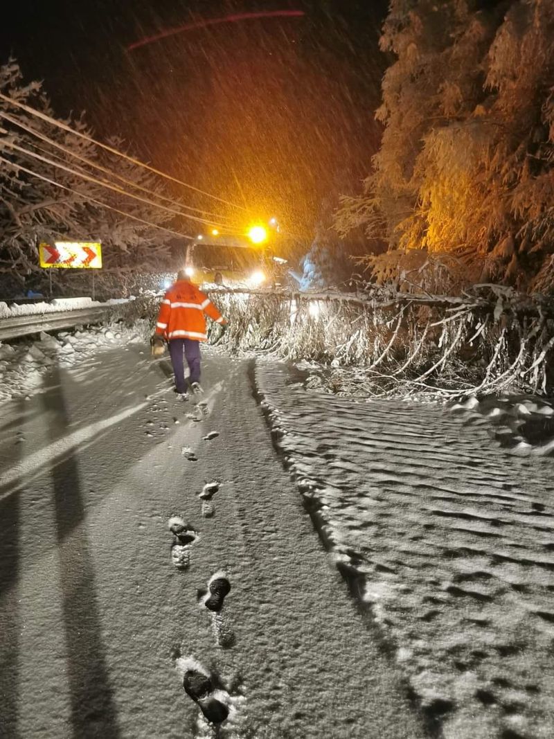 Ninsori în România