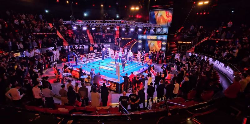 Ronald Gavril în ring ronald gavril