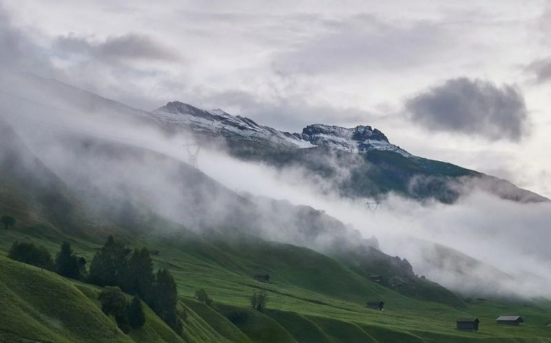 meteo