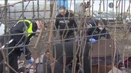 politisti bragadiru