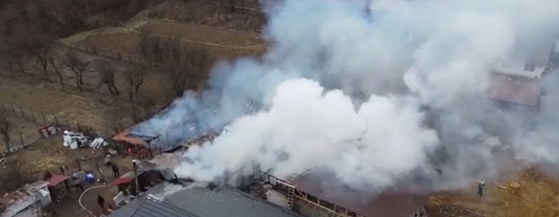 Incendiu în Mehedinți Incendiu în Mehedinți
