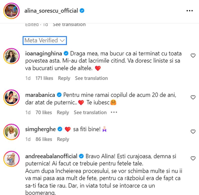 mesaje alina sorescu