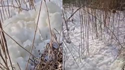 Fenomen rar întâlnit în Constanța! Imagini spectaculoase, după ce lacul Siutghiol a fost acoperit de spumă. Ce spun specialiștii