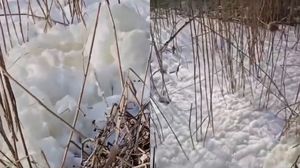Lacul Siutghiol din Mamaia