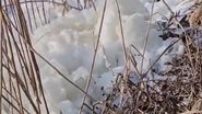 Lacul Siutghiol din Mamaia
