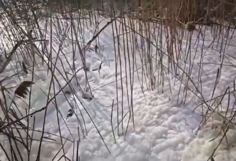 Lacul Siutghiol din Mamaia
