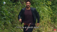 Dragoste fără hotare