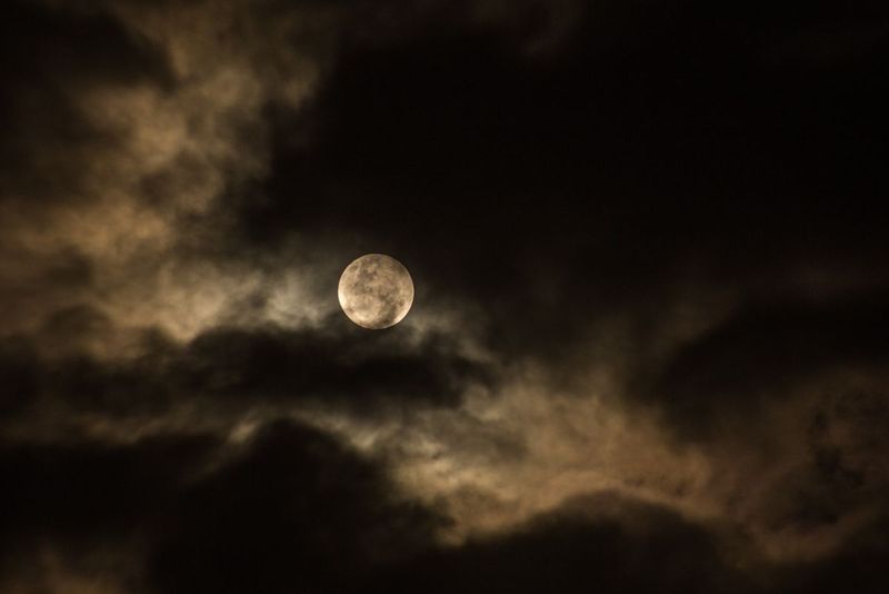 luna plina nori