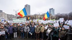 Silvicultorii protestează astăzi în fața Ministerului Mediului! Aceștia anunță că intră în grevă de avertisment
