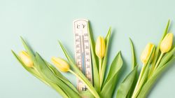 Prognoza meteo martie 2025. Cum va fi vremea în primele două săptămâni de primăvară calendaristică