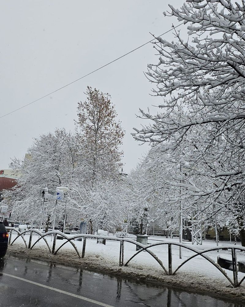 zapada bucuresti bulevard