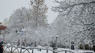 zapada bucuresti bulevard