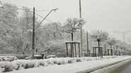zapada bucuresti