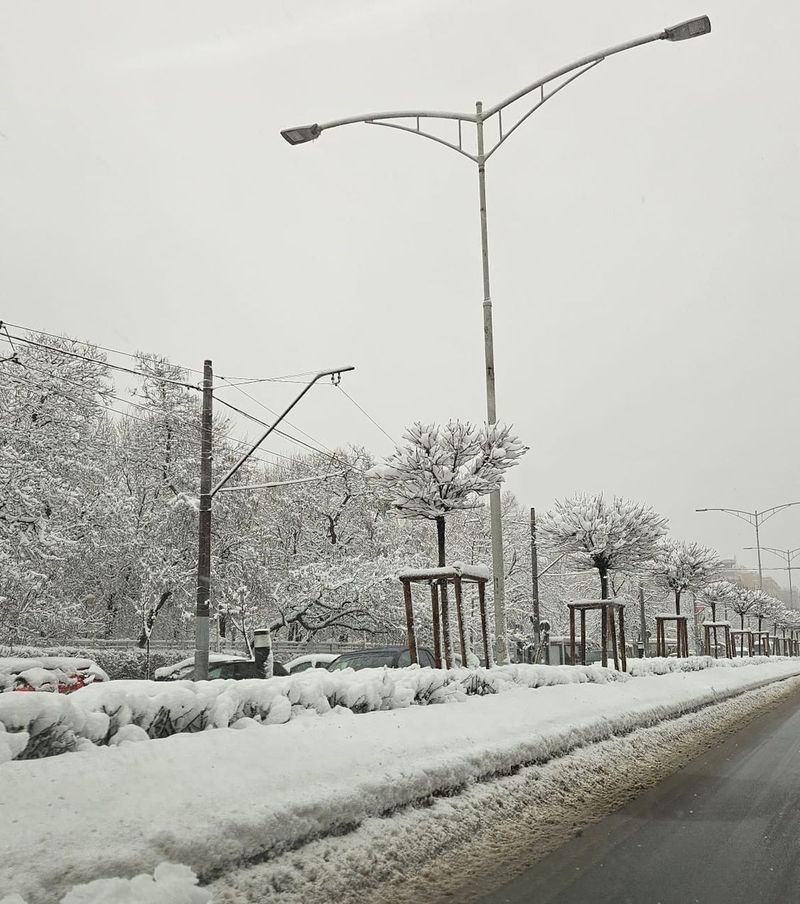 zapada bucuresti