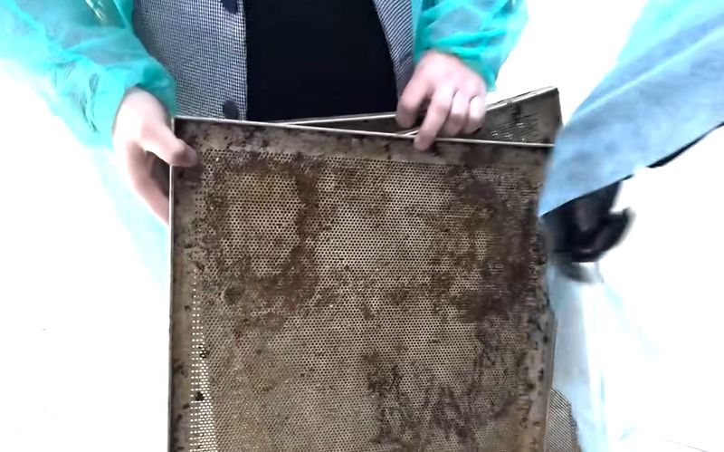 Nereguli descoperite de ANPC