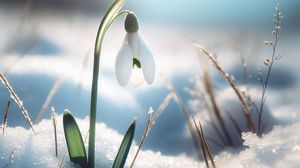 Când vine primăvara?