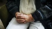 pensionar