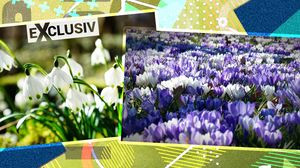 Cum va fi vremea în martie?! Meteorologii au emis prognoza pentru prima lună de primăvară! Ce se întâmplă cu temperaturile după data de 1 martie