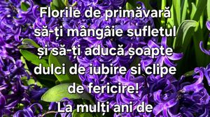 Urări de Mărțișor 2025 pentru mamă, soție, iubită sau colege. Cele mai frumoase mesaje de 1 Martie: „Fie ca Mărţişorul meu să-ţi aducă o primăvara caldă și senină în suflet! La mulți ani, dragă mamă!”