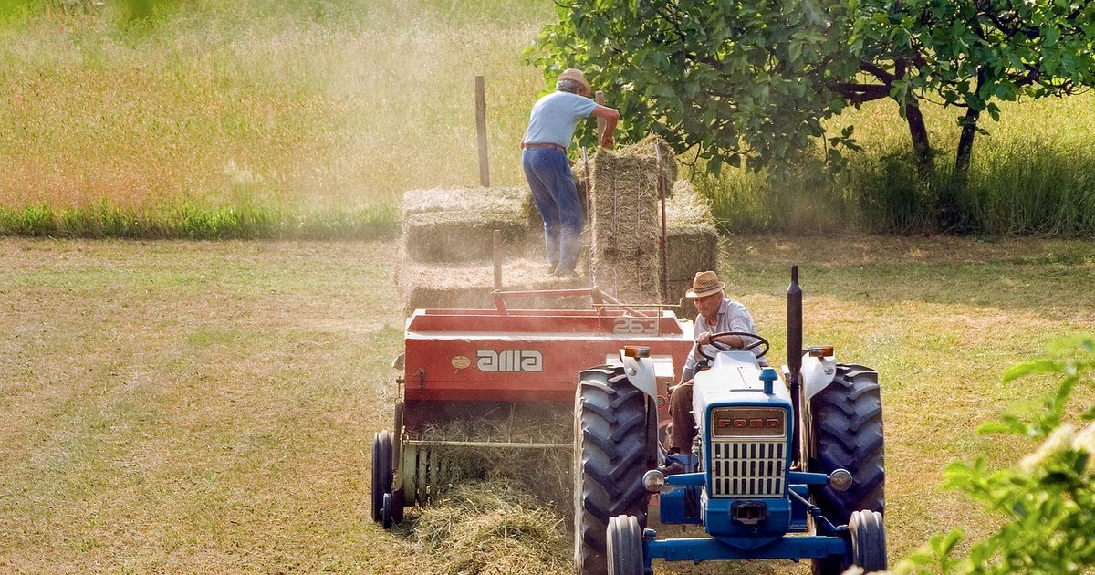 Vești proaste pentru fermierii din România! Motivul pentru care ar putea rămâne fără subvențiile APIA în anul 2026