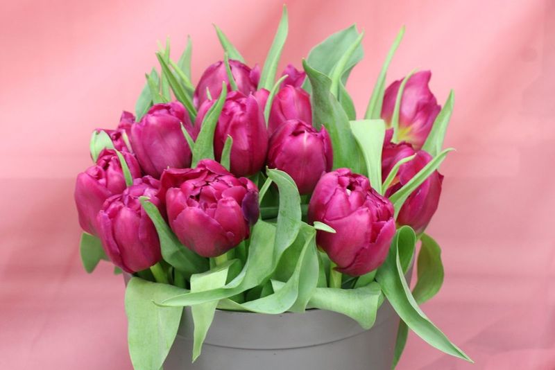 buchet de lalelele