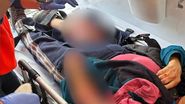 Femeia în vârstă de 82 de ani care a fost atacată de un ciobănesc