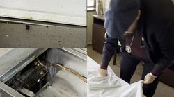 Neregulile găsite de inspectorii ANPC în stațiunile montane de pe Valea Prahovei! Gândaci, saltele pătate și produse expirate, descoperite de reprezentanții instituției: „Lipsă totală de igienă”