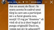 Anca Serea geantă